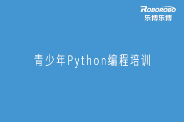 广州乐博乐博机器人广州青少年Python编程培训班图片图片