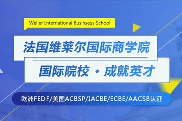 广州新与成国际教育法国维莱尔国际商学院MBA招生简章 图片图片
