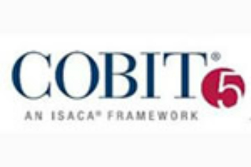 上海昂立it教育培训COBIT®5 Foundation认证（IT治理精要）图片