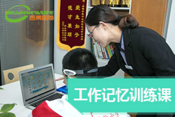 上海金博智慧教育上海金博智慧工作記憶力課程圖片