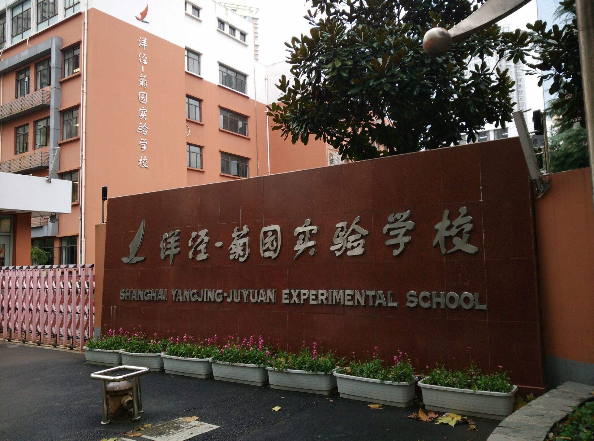 11,洋泾-菊园实验学校(公办,地段对口)人户一致的情况下年限还没有