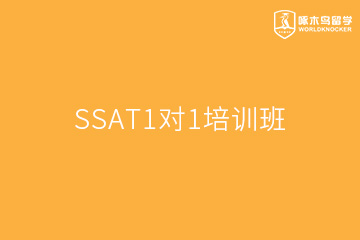 广州啄木鸟教育广州SSAT1对1培训班图片