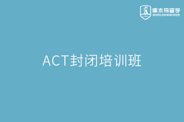 北京啄木鸟教育北京ACT封闭培训班图片