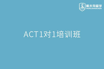 北京啄木鸟教育北京ACT1对1培训班图片