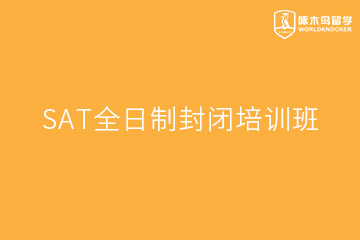 北京啄木鸟教育北京SAT全日制封闭培训班图片