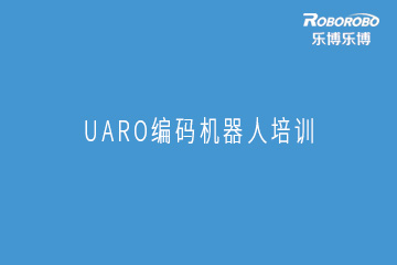 广州乐博乐博机器人广州UARO编码机器人培训班图片