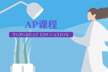 北京方舟国际教育北京方舟AP VIP定制课程图片
