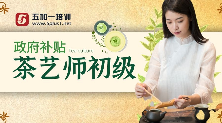 上海五加一证书培训中心上海五加一培训 茶艺师初/中级考证培训课程图片
