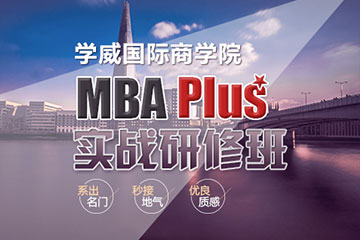 学威国际商学院MBA Plus实战研修班图片