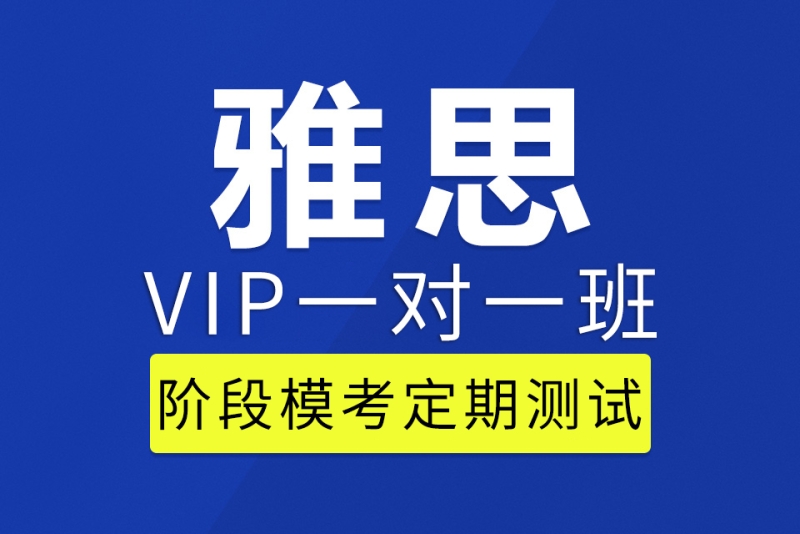 上海新航道雅思一对一VIP培训图片
