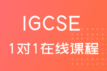 IGCSE考试1对1在线培训课程图片