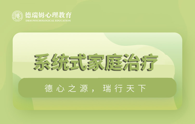 南京系统式家庭治疗课程认证课程图片
