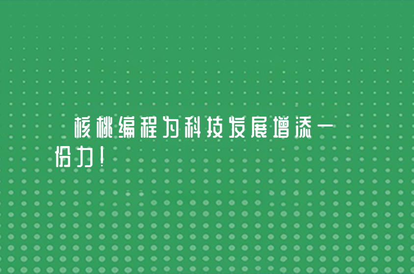 核桃编程为科技发展增添一份力！