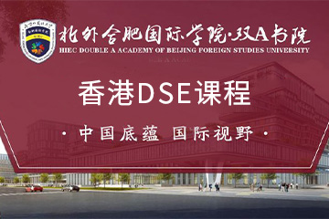 北外合肥国际学院·双A书院香港DSE课程图片