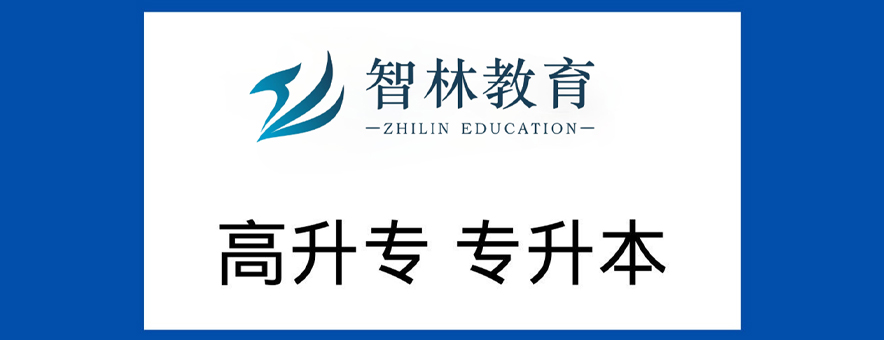 智林教育banner
