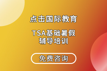 深圳点击国际教育深圳TSA基础辅导培训课程图片