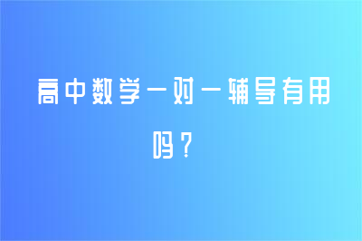 高中数学一对一辅导有用吗？