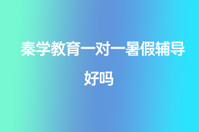 秦学教育一对一暑假辅导好吗？