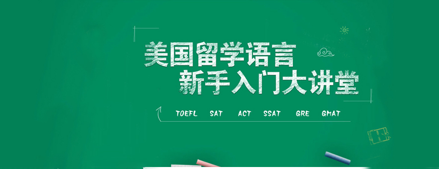 上海啄木鸟教育banner