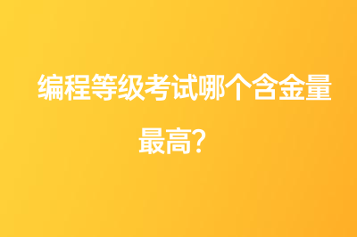 编程等级考试哪个含金量最高？