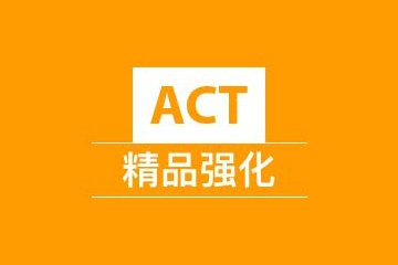 武汉新航道学校ACT精品强化班1V5图片