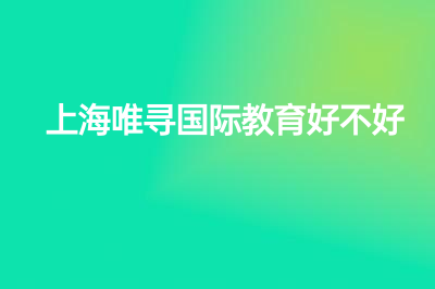 上海唯寻国际教育好不好？