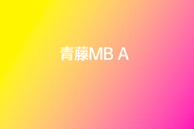 上海高金MBA学员分享报考经历！