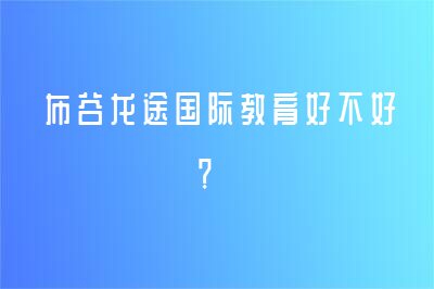 布谷龍途國(guó)際教育好不好？