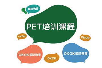 OKOK国际教育PET培训课程图片