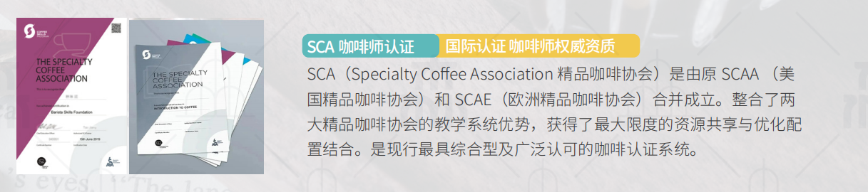  王森国际SCA咖啡师考证培训课程