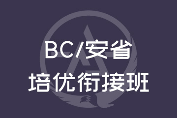 上海唯寻国际教育上海BC/安省培优衔接班图片