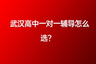 武汉高中一对一辅导怎么选？