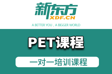 深圳PET培训课程