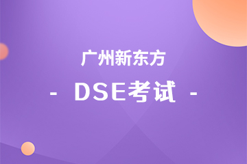 广州DSE考研培训课程