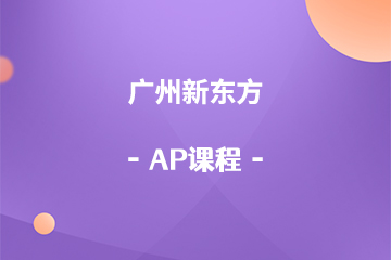 广州AP课程辅导班