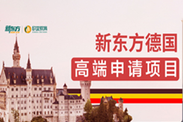 成都新东方前途出国成都德国高端留学申请项目图片
