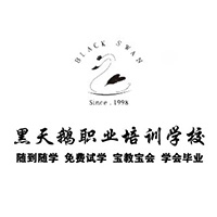 哈尔滨黑天鹅职业培训学校Logo