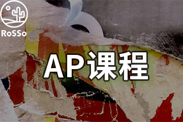 上海ROSSO国际艺术留学上海AP艺术设计先修课程图片