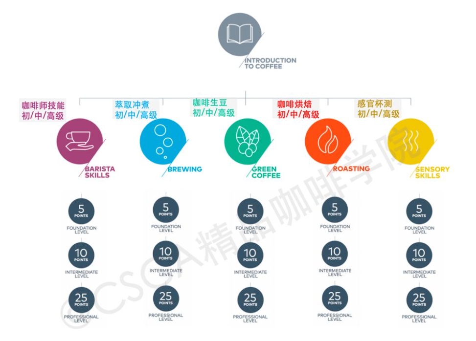 CSCA咖啡师证书含金量高吗？