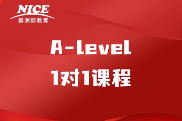 深圳新洲际A-level 1对1课程
