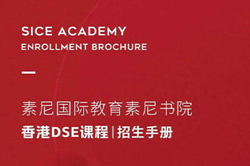 苏州朗阁教育素尼书院香港DSE国际高中课程图片
