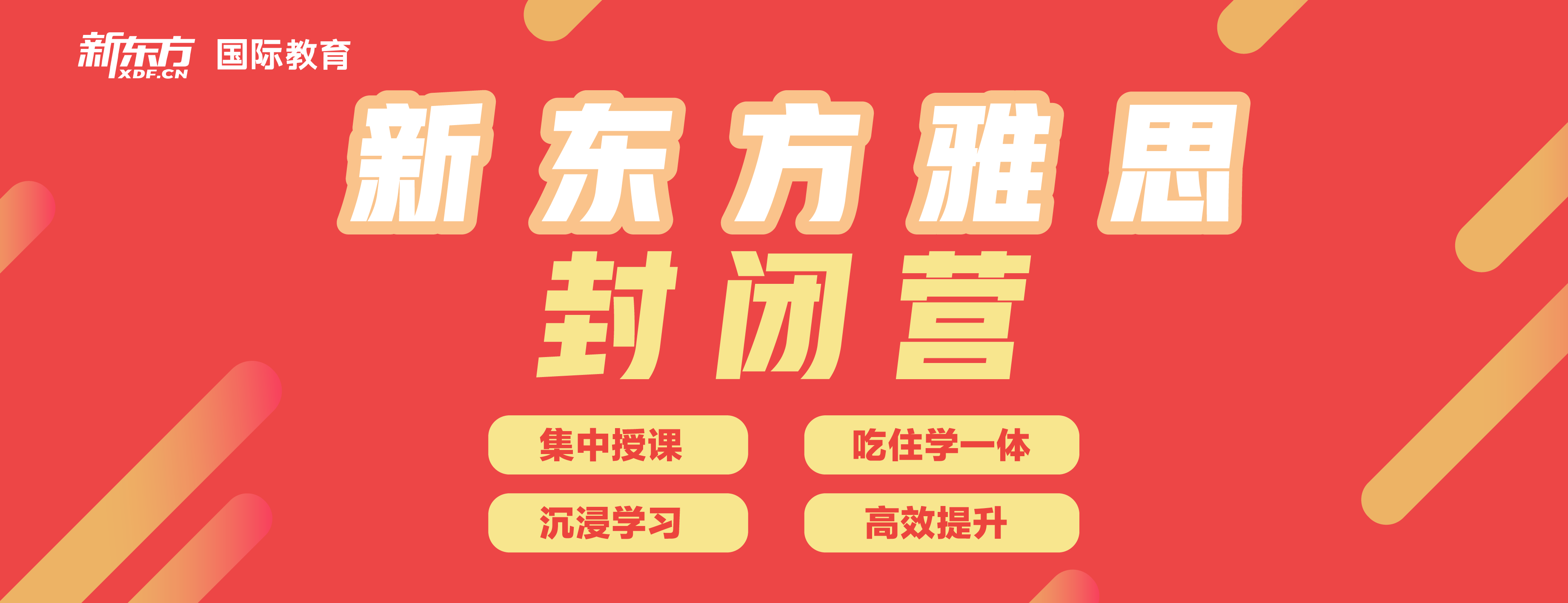 东莞新东方国际教育banner