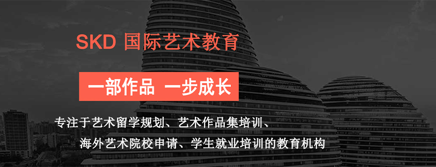 SKD国际艺术教育banner