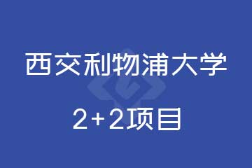 路克斯教育西交利物浦大學2+2項目圖片