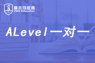 北京啄木鳥教育北京ALevel一對一培訓班圖片