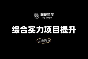 藤德留学综合实力项目提升图片