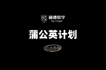 藤德留学蒲公英计划图片