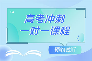 高考一對一輔導(dǎo)沖刺課程