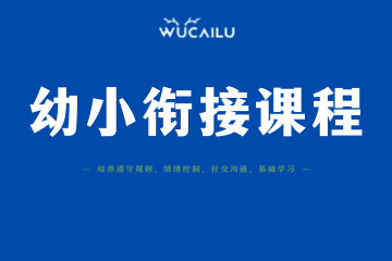 五彩鹿自闭症幼小衔接课程