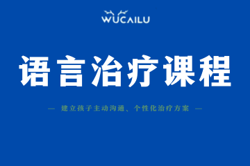 五彩鹿自闭症语言治疗课程